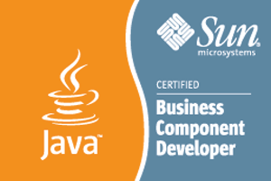 Sun Certified Business Component Programmer